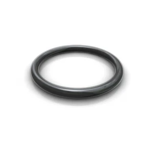 O-ring (original)