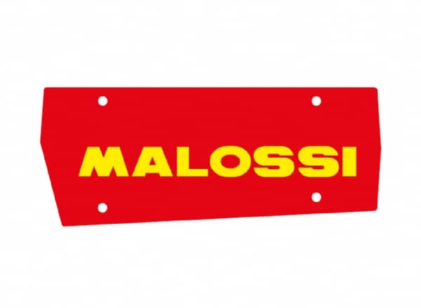 Luftfilterelement (Malossi)