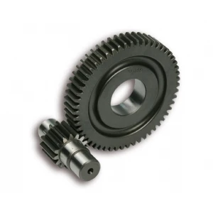 Gearing 15/55t (Malossi HTQ)